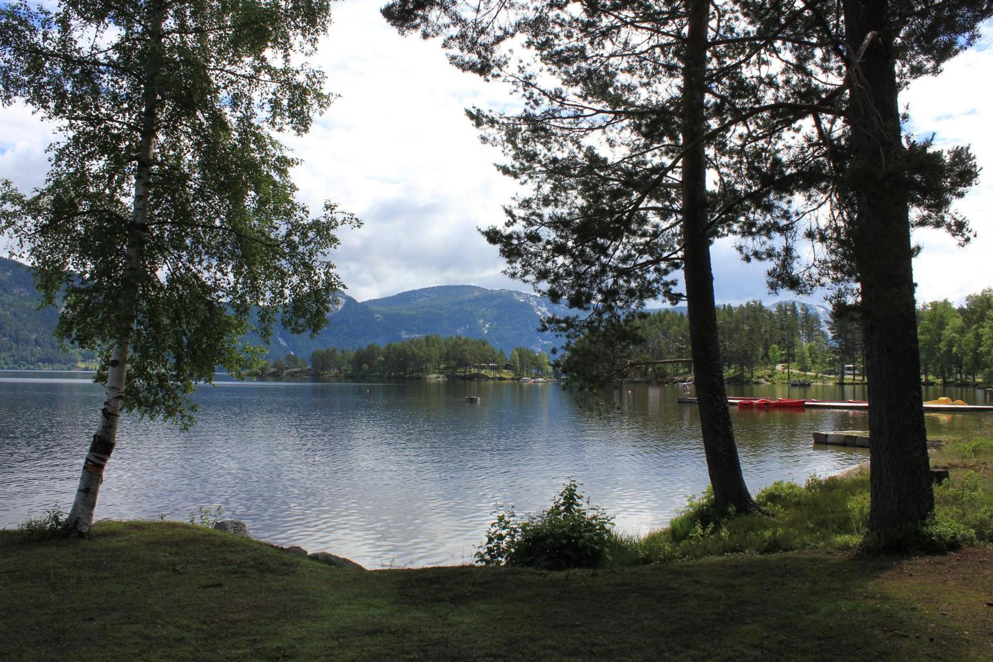 Nisser Hyttegrend Og Camping Villa Fjone Esterno foto