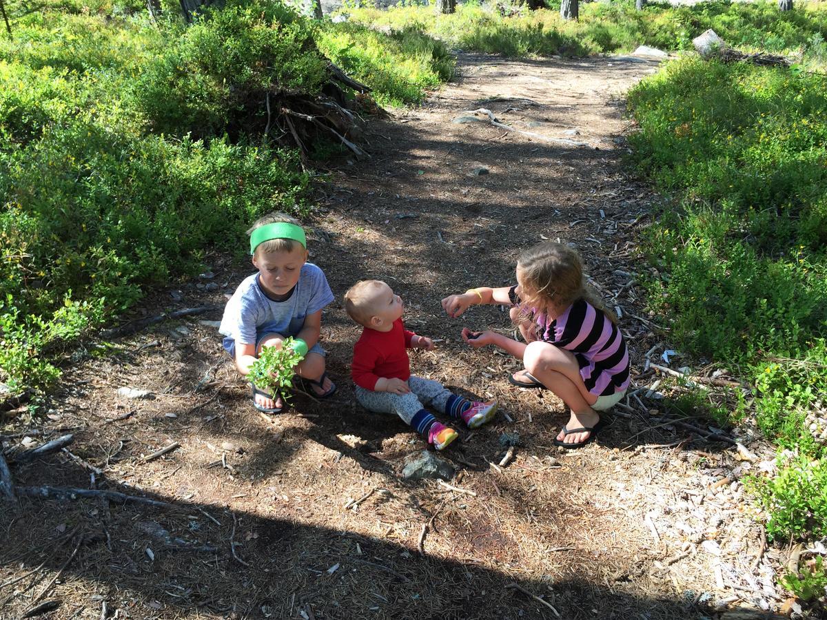 Nisser Hyttegrend Og Camping Villa Fjone Esterno foto